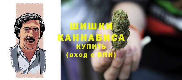 ECSTASY Белокуриха