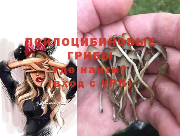 spice Белоозёрский