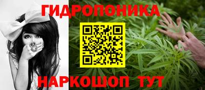 крисы Волжск