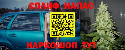 крисы Волжск