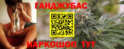 гидра Волгодонск