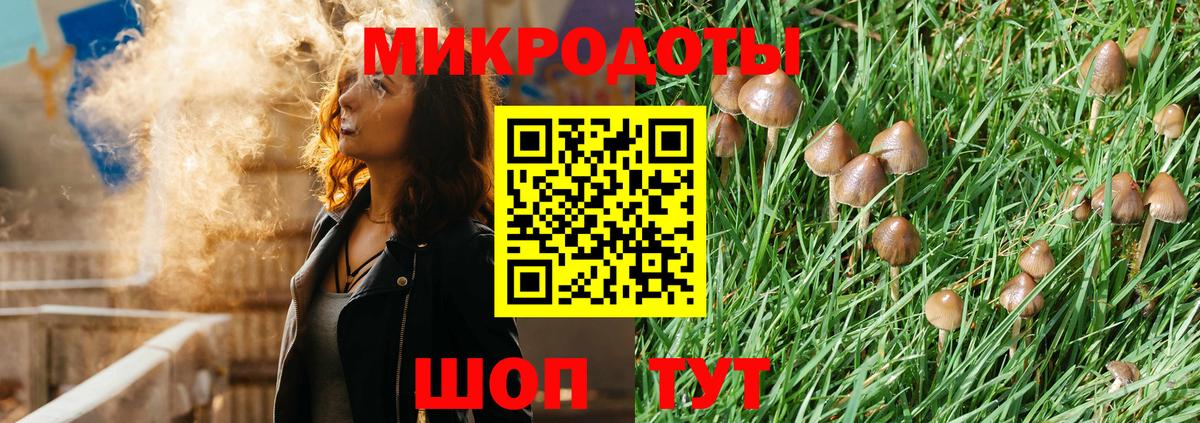 Псилоцибиновые грибы мицелий  Гулькевичи 