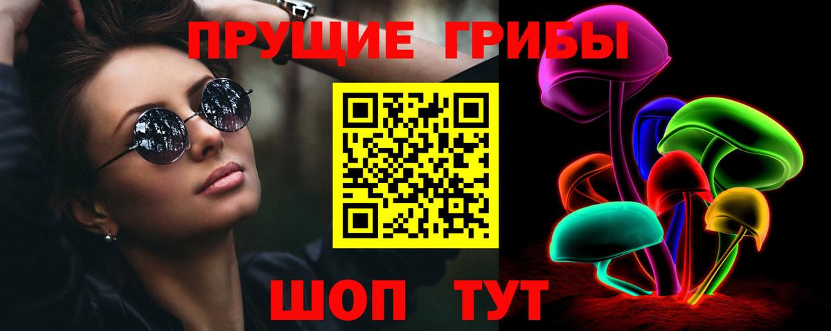 Псилоцибиновые грибы GOLDEN TEACHER  Вход с VPN  где купить наркотик  Гулькевичи 
