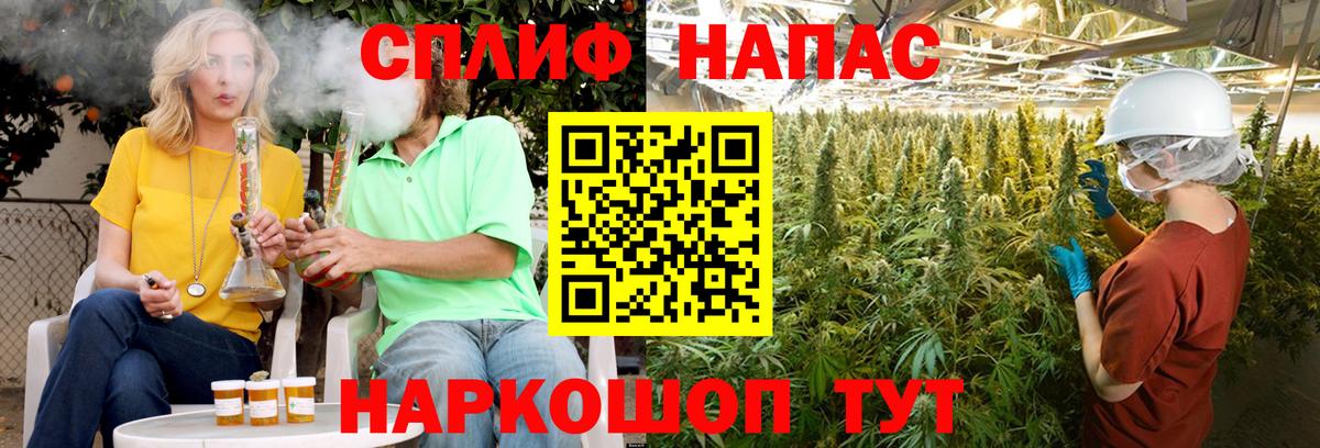 Конопля Amnesia  Каннабис Ganja  Гулькевичи  МАРИХУАНА индика 